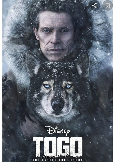 Read more about the article Togo (2019) | Download Hollywood Movie