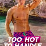 Too Hot to Handle S02 ( Complete )  | TV Series