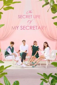 download the secret life of my secretary korean drama