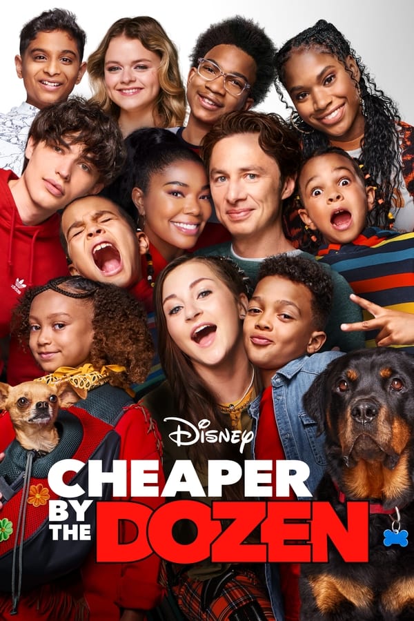 download cheaper by the dozen hollywood movie