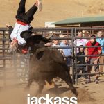 Jackass Forever (2022) | Download Hollywood Movie