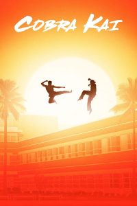 Read more about the article Cobra Kai S01 & S02 (Complete) | TV Series