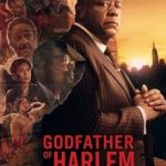 Godfather of Harlem S03 (Complete) | TV Series
