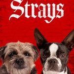 Strays (2023) | Download Hollywood Movie