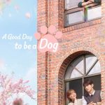 A Good Day to be a Dog S01 (Episode 14 Added) | Korean Drama