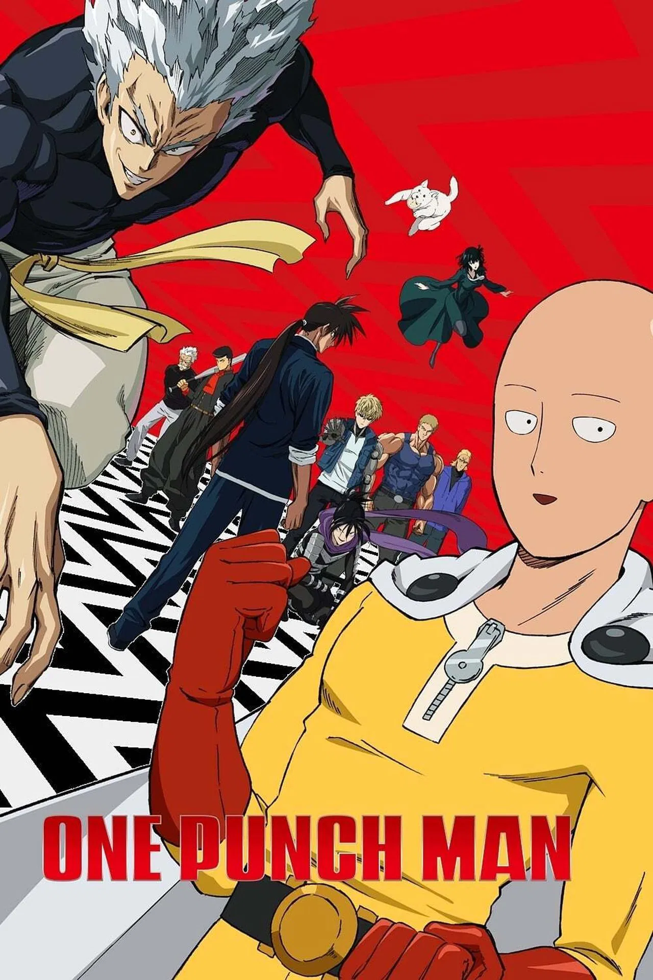 Read more about the article One Punch Man S01 & S02 (Complete) | Anime TV Series