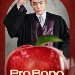 Pro Bono S01 (Episode 12 Added) | Korean Drama