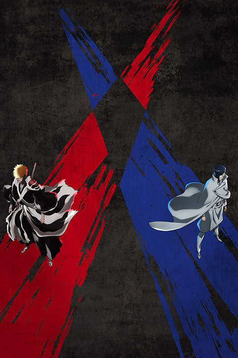 Read more about the article Bleach: Thousand-Year Blood War: The Separation Part II (Complete) | Anime Series