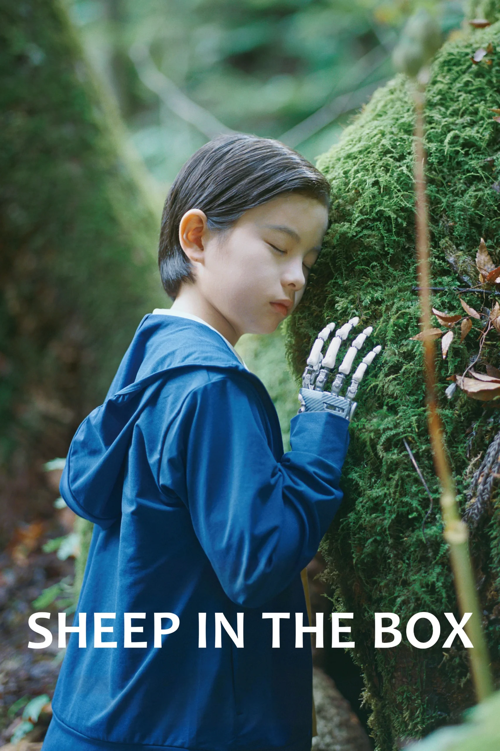 Read more about the article Sheep in the Box (2026) | Download JAPANESE Movie