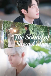 Download The Sound of Sugar Cubes (2026) Korean Drama series